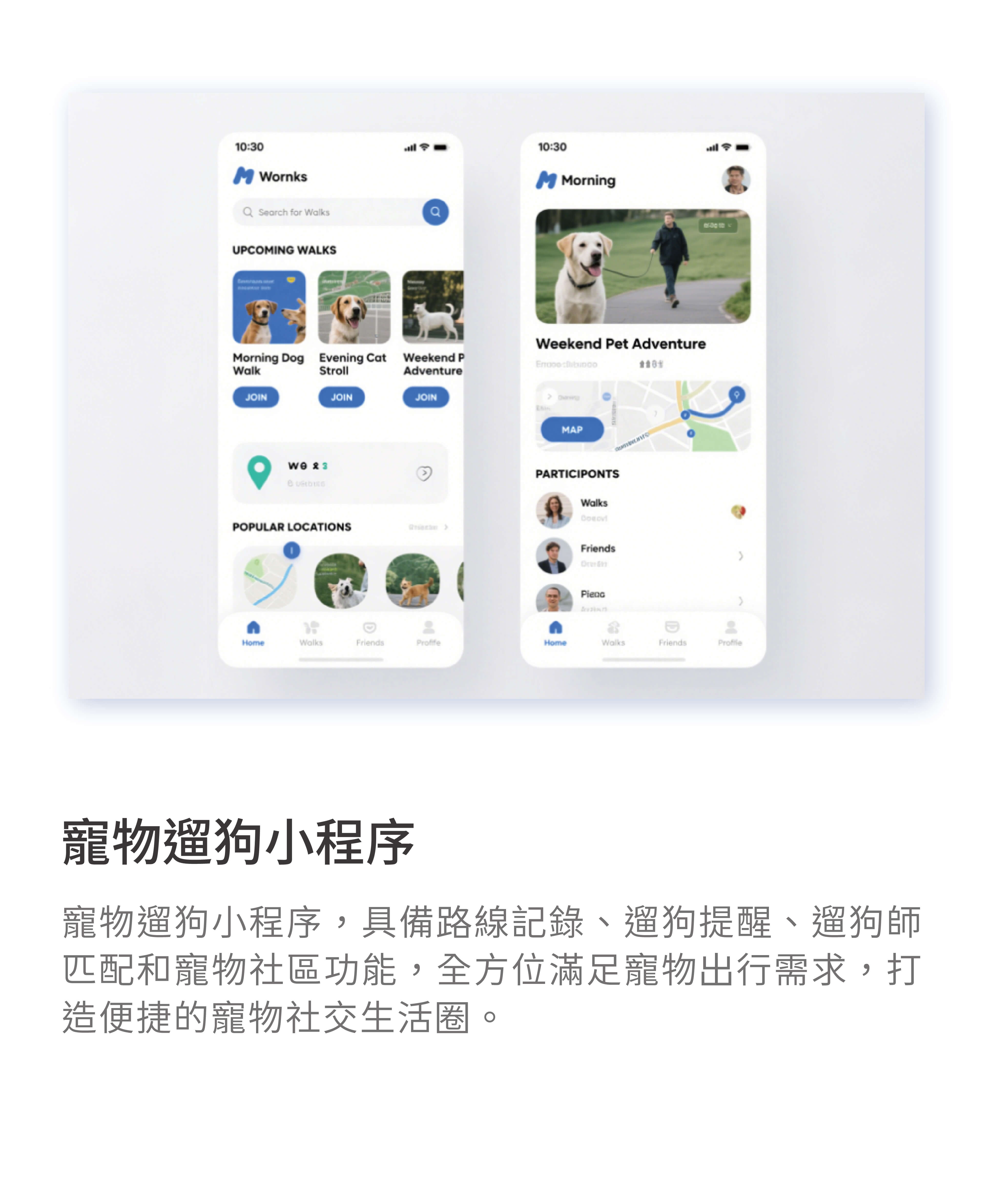 Dog Walking Mini Program